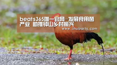 beats365唯一官网-发展食用菌产业 助推钟山乡村振兴(图1) beats365唯一官网-发展食用菌产业 助推钟山乡村振兴(图1)