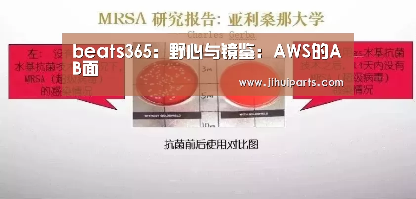 beats365:野心与镜鉴:AWS的AB面(图3) beats365唯一官网