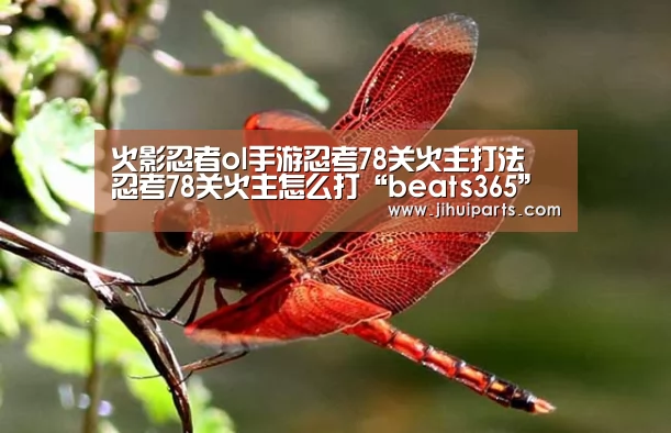 火影忍者ol手游忍考78关火主打法 忍考78关火主怎么打“beats365”(图3) beat365平台入口